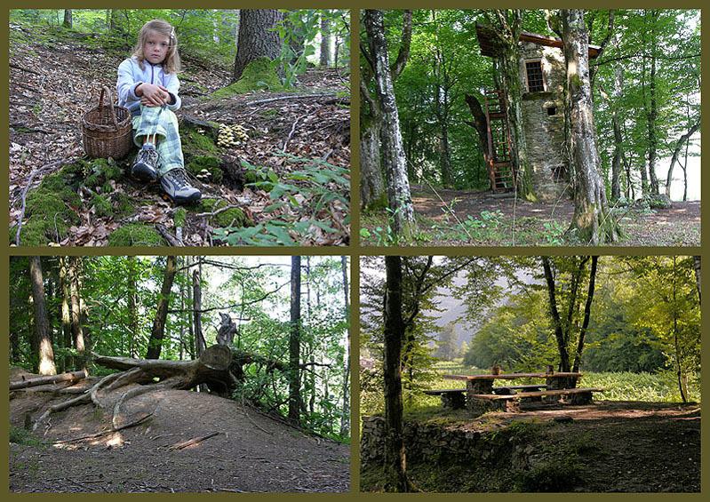 Qualche fungo...(seconda parte)